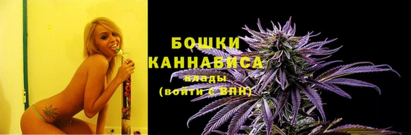 индика Наволоки