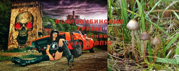 индика Наволоки
