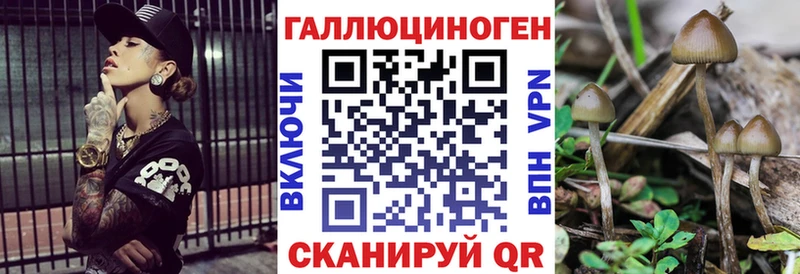 Псилоцибиновые грибы мицелий  Сясьстрой 
