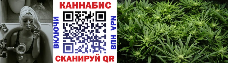 Шишки марихуана White Widow  Сясьстрой 